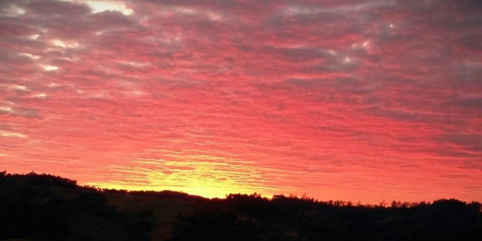 Domingo será de sol e marcas agradáveis no RS