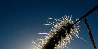 Segunda-feira no RS será ensolarada e com frio intenso pela manhã