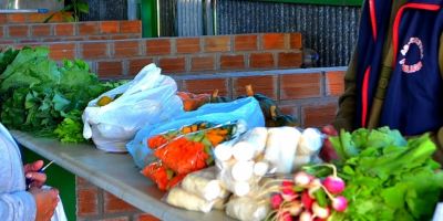 Edital de chamamento credencia para estandes na Feira Willy Dummer em Camaquã