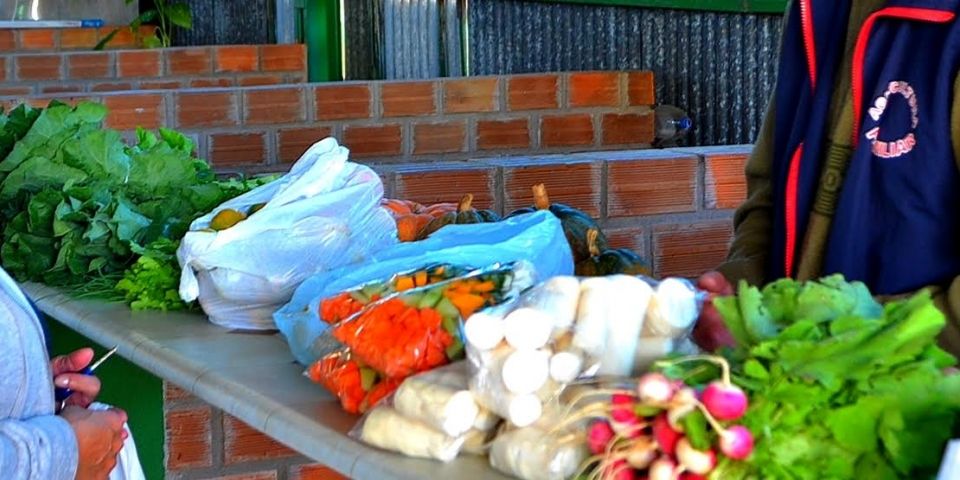 Edital de chamamento credencia para estandes na Feira Willy Dummer em Camaquã
