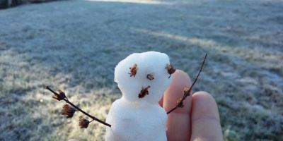 Frio segue intenso em Camaquã e região com formação de geada e temperaturas muito baixas 