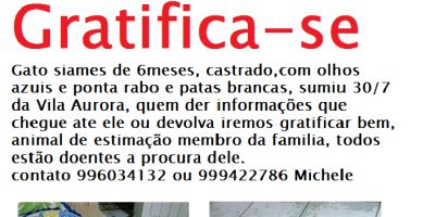 Procura-se por gatinho sumido na Vila Aurora em Camaquã. Gratifica-se