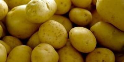 Porto Alegre tem cesta básica mais cara do país em julho