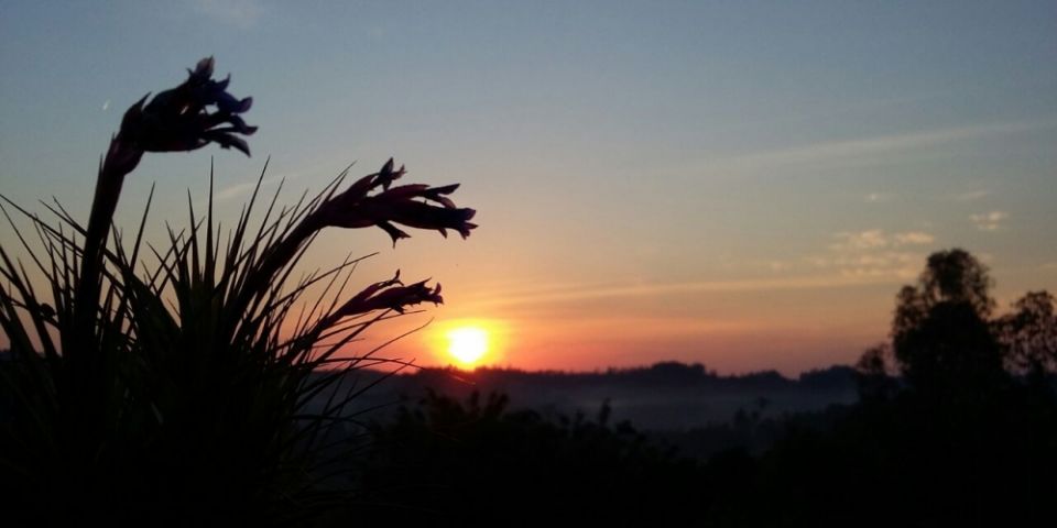 Sol e céu limpo marcam sábado no Rio Grande do Sul