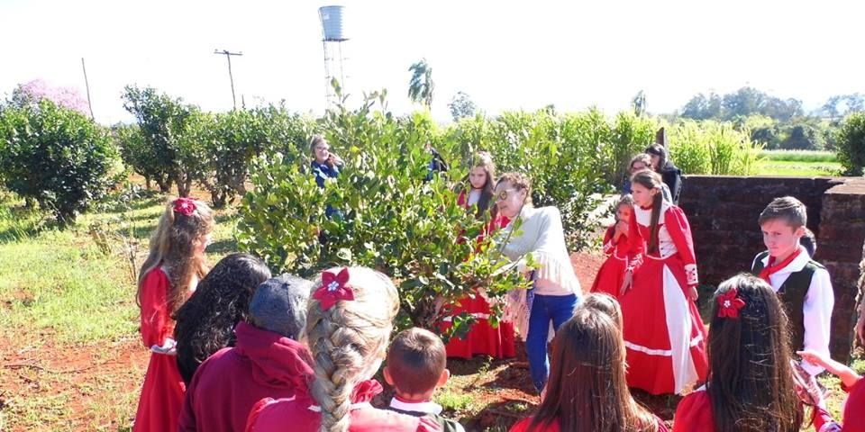 Escola Rui Barbosa realiza estudo de campo na Rota do Chimarrão