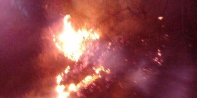 FOTOS: incêndio toma conta de área de mata às margens da ERS-350, em Dom Feliciano