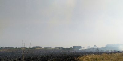 FOTOS E VÍDEO: fogo queima grande parte de campo às margens da BR-116, em Camaquã