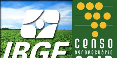 Supervisores e agentes municipais do Censo Agropecuário 2017 recebem treinamento em Camaquã