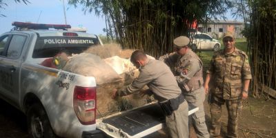 Homens são detidos com redes de pesca em Camaquã