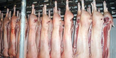BRASIL: exportações de carne suína chegam a 68,7 mil toneladas