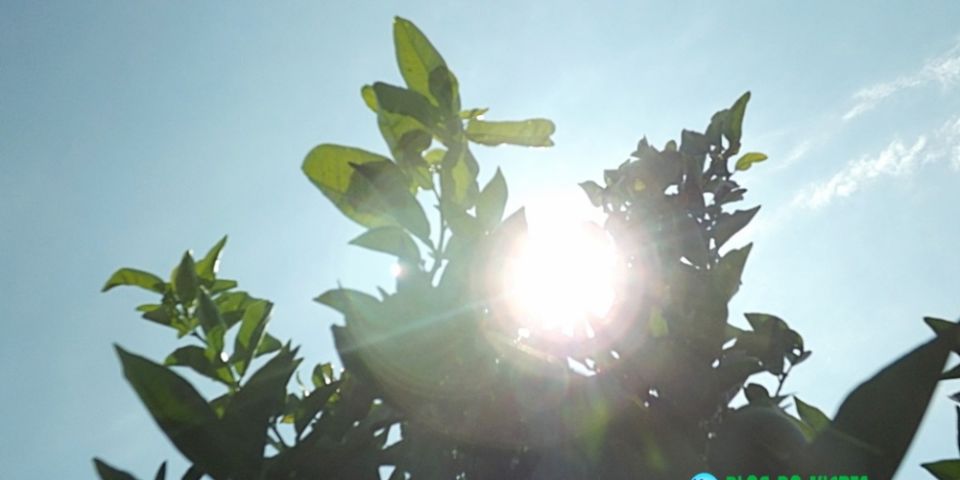 Quarta começa nublada em Camaquã, mas sol deve predominar ao longo do dia