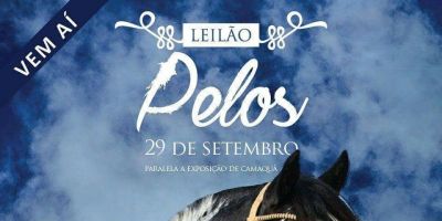 Leilão Pelos ocorre nesta sexta na ExpoCamaquã