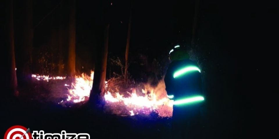 Bombeiros voluntários de Tapes combatem incêndio em mato no assentamento Lagoa do Junco