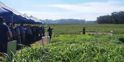 Camaquenses participam de Dia de Campo na Embrapa de terras baixas