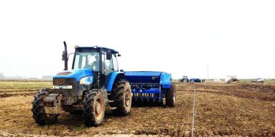Produtores de arroz do RS já semearam 26,16% da área prevista