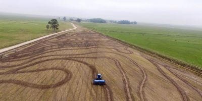 Irga orienta produtores a melhorar a semeadura do arroz em condições adversas