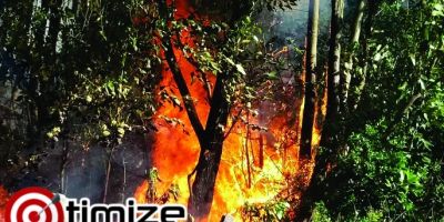 Incêndio atinge cerca de 5 hectares de mata no interior de Tapes