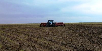 Plantio do arroz alcança 77,14% da área prevista no RS