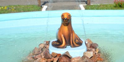 Foca Maroca está de volta à Praça Donário Lopes