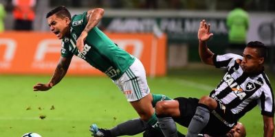 Palmeiras vence Botafogo por 2x0 e é vice-líder do Brasileiro