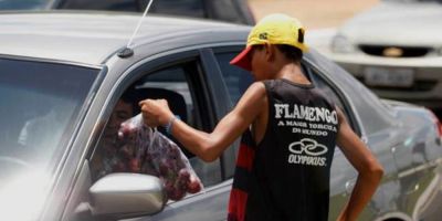 Brasil tem 30 mil crianças de 5 a 9 anos no mercado de trabalho, aponta IBGE