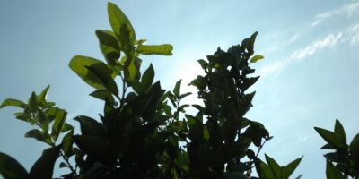 Semana começa com sol no Rio Grande do Sul