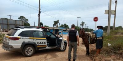 "Resolvi ir para casa montado a cavalo por causa do calor", disse homem que furtou cavalo em Camaquã