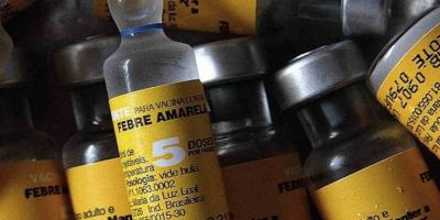 Sobe para 13 o número de mortos por febre amarela em São Paulo
