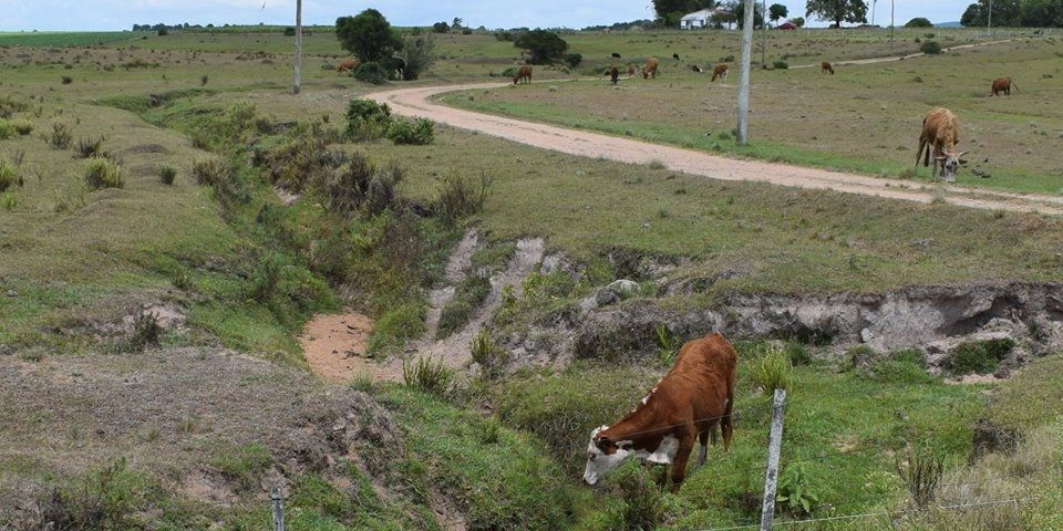 Homologada Situação de Emergência em Cristal