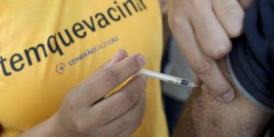 Sobe para 12 número de mortes confirmadas por febre amarela no Rio de Janeiro