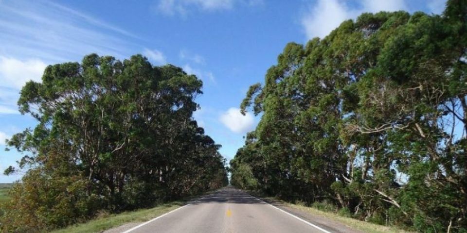 ATENÇÃO: BR-116 em meia pista para manutenção do Km 401 ao 403 em Camaquã