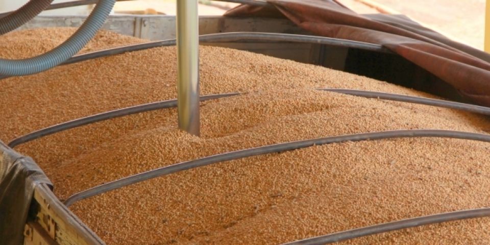 Inscrições abertas para curso de secagem e armazenagem de grãos em Camaquã