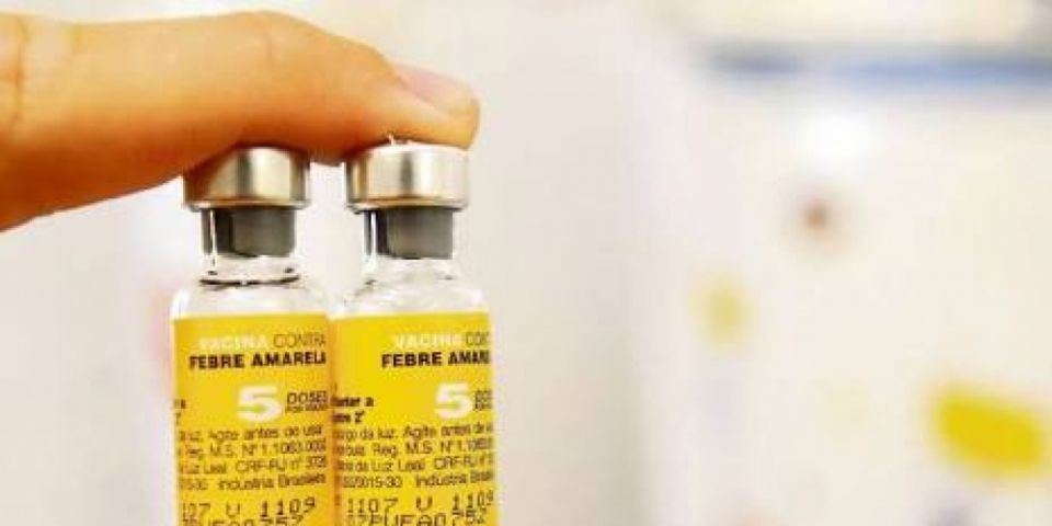 Rio Grande do Sul não tem comprovação de casos de febre amarela