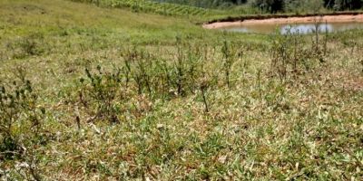 Prefeitura de Dom Feliciano segue “força-tarefa”, devido à seca