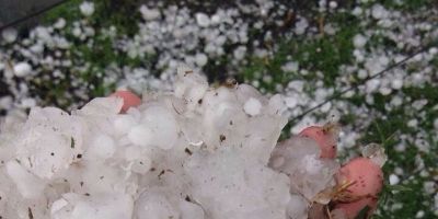 Tempestade atinge Camaquã e região nesta terça-feira