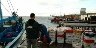 Patram e Ibama apreendem 7 toneladas de pescado no Litoral Sul em uma semana