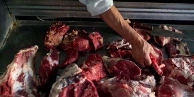 Grupo BRF é investigado por omitir presença de salmonela em carnes