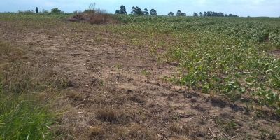 União reconhece Situação de Emergência em Camaquã, SLS e em outros 2 municípios gaúchos