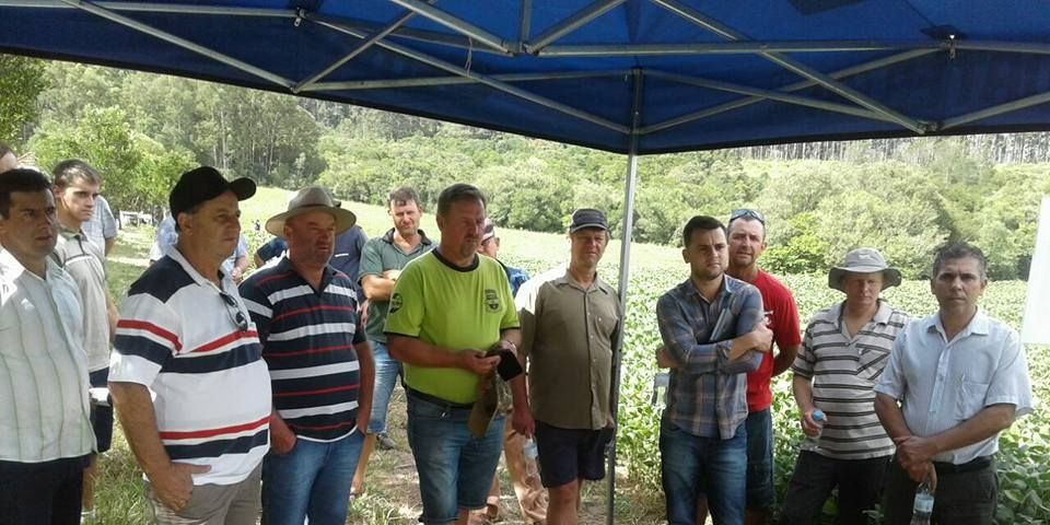 Dia de Campo trata do manejo da soja em Camaquã