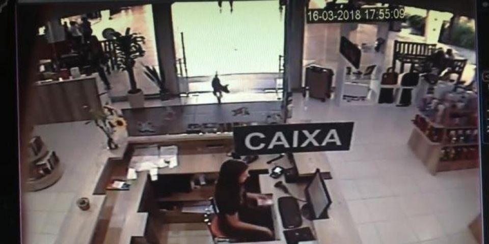 VÍDEO: cão é flagrado "furtando" livro e viraliza nas redes sociais