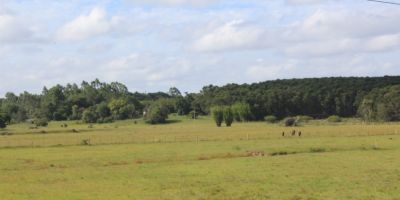 Secretaria da Agricultura promoverá reunião para pequenos pecuaristas em Camaquã