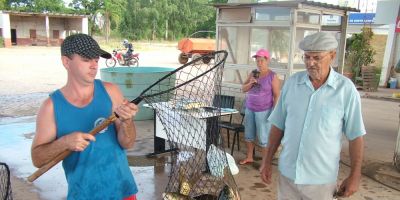 RS estima comercializar 4 mil toneladas de peixes na Semana Santa