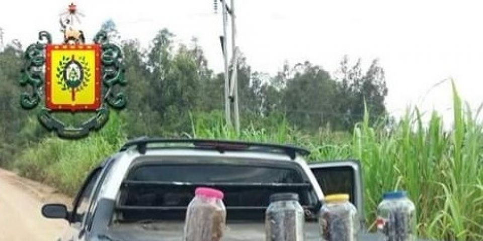 BM apreende no interior de Camaquã veículo que pode estar envolvido em roubos