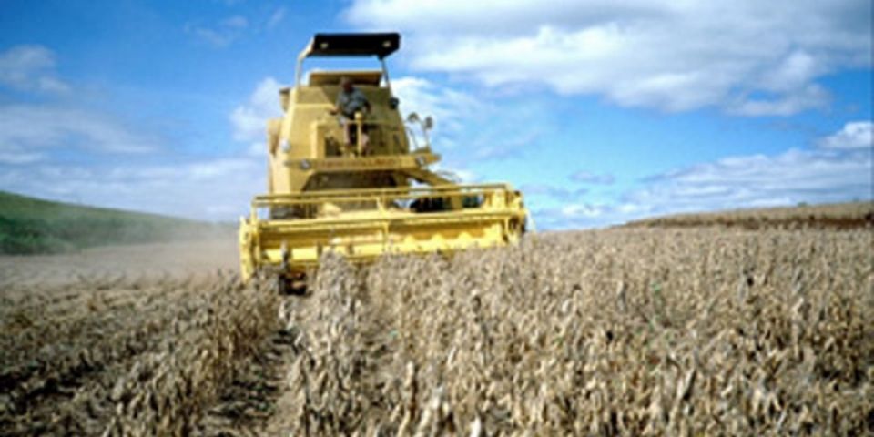 Colheita da soja atinge 20% das lavouras no RS