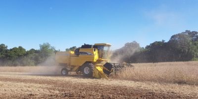 Lavouras de soja estão com 35% da área cultivada colhida no RS