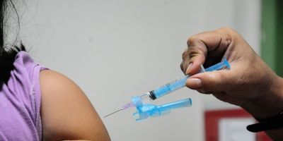 Vírus que provocou surto de gripe nos EUA também circula no Brasil