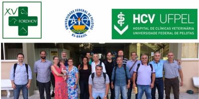 Fórum nacional discutirá, na UFPel, os hospitais veterinários das universidades