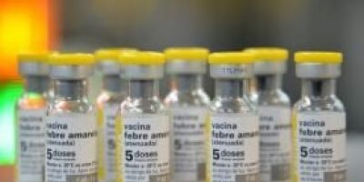 Sociedades médicas divulgam orientações sobre vacinação contra a febre amarela