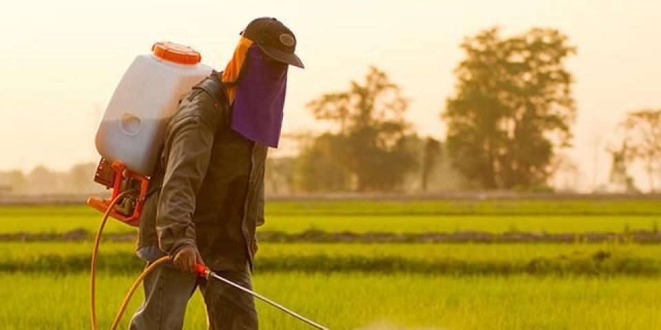 Inscrições abertas para curso de aplicação segura de defensivos agrícolas em Camaquã