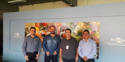 Vice-prefeito de Camaquã e secretário da Agricultura realizam visita técnica na Embrapa